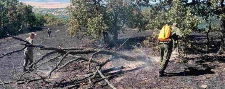 Край Стара Загора продължава да гори, локализираха пожара в Свиленградско