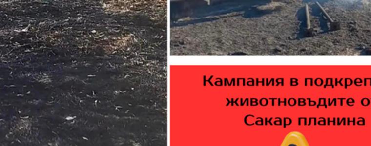 Национална асоциация на зърнопроизводителите стартира кампания за засегнатите от пожарите животновъди в Сакар планина