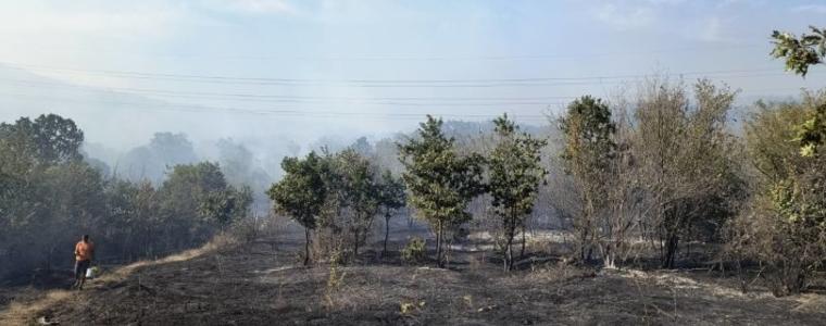 Над 100 000 дка изгоряха в Югоизточна България