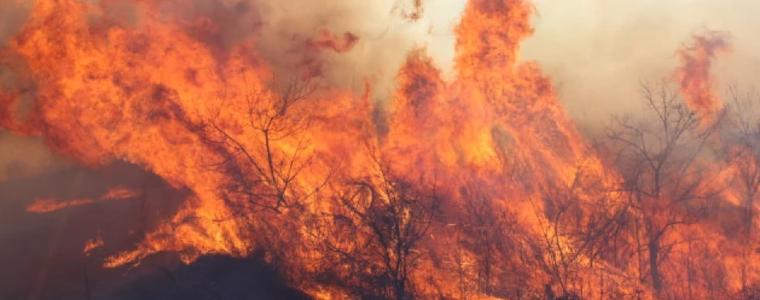 Пожар изпепели над 1000 дка в района на с. Победа, община Добричка
