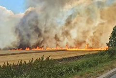 Пожар горя в пшенична нива край Соколово 