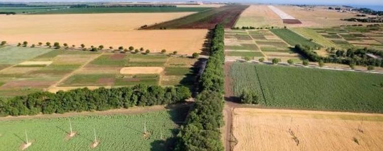 С 28 % е по-висока цената за декар земя в областта през 2023 г. спрямо предходната година