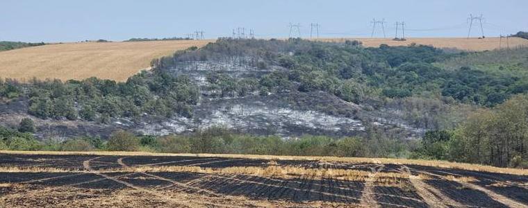 Потушен е пожарът край Лозница, но все още тлеят отделни участъци