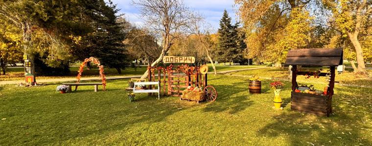 Нов фотокът с есенна премяна в градския парк на Добрич (СНИМКИ И ВИДЕО)