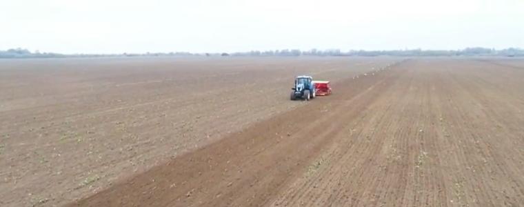 1,1 млн. декара с пшеница са засети в област Добрич