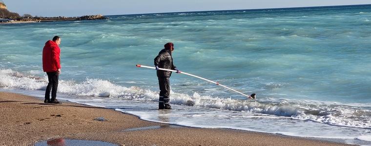 Тестваха за замърсяване водата край Дуранкулак след петролния разлив в Керченския проток