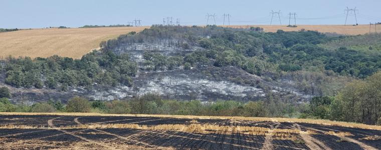 Територията на ДГС-Генерал Тошево е най-засегната от пожари в Североизтока през 2024 година