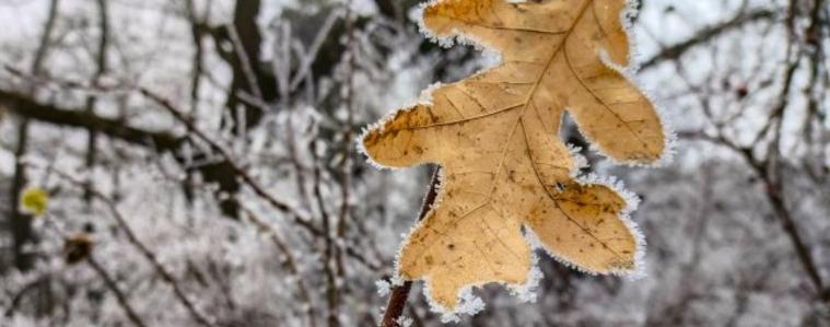 Прогноза за времето на 17 февруари