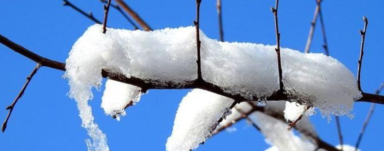 Прогноза за времето в сряда