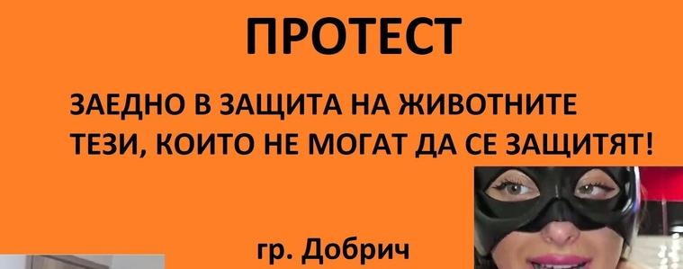 И в Добрич се организира протест срещу жестокостта към животните