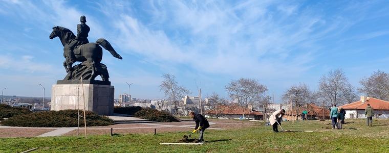 „Музикалната гора“ зад паметника на Добротица в Добрич се разраства (СНИМКИ)