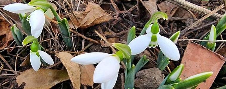 Прогноза за 2 март