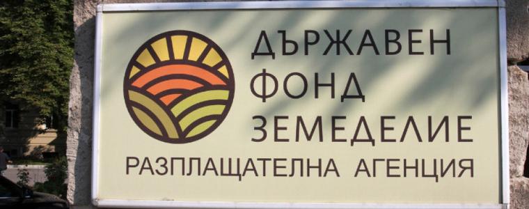 Свиневъдите могат да кандидатстват за подпомагане за хуманно отглеждане на прасета за угояване