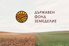 Община Добричка ще реализира проект „Инвестиции в подобряването на малки по мащаби инфраструктура на територията на община Добричка“