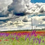 Облачно със слаби превалявания в понеделник