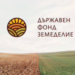 Община Добричка ще реализира проект „Инвестиции в подобряването на малки по мащаби инфраструктура на територията на община Добричка“