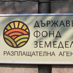 Свиневъдите могат да кандидатстват за подпомагане за хуманно отглеждане на прасета за угояване