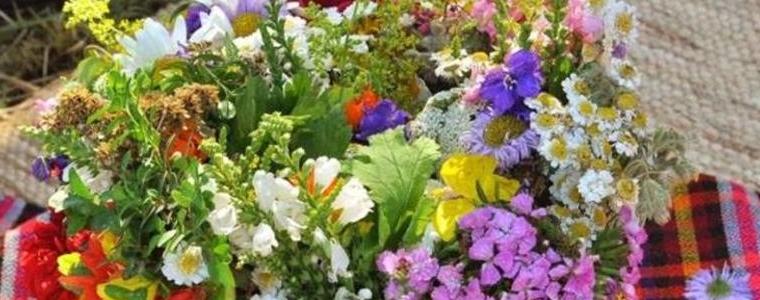 Отново Еньовден в ЕК „Стария Добрич” на 24 юни (АУДИО)