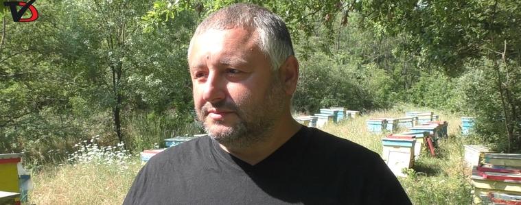 Все по-висока смъртност сред пчелните семейства и все повече отказали се от пчеларството (ВИДЕО)