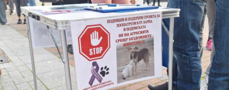 Във Варна беше създаден Координационен център "Зоопатрули"