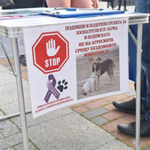 Във Варна беше създаден Координационен център "Зоопатрули"