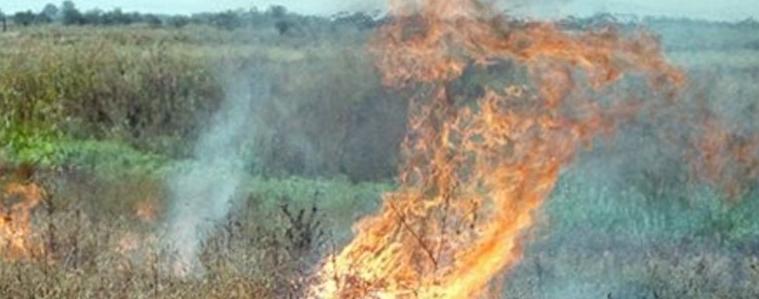 Четири часа гасиха пожар между Тригорци  и Кремена, община Балчик