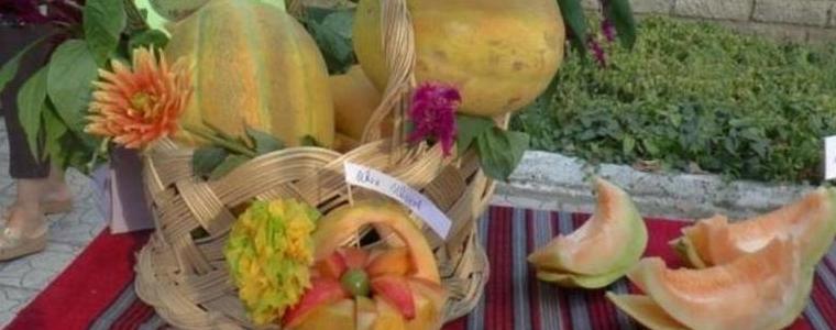 Днес и утре -Празник на пъпеша в с. Българево, общ. Каварна