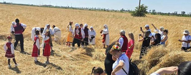 Добруджанският харман в Гурково събра таланти и съмишленици