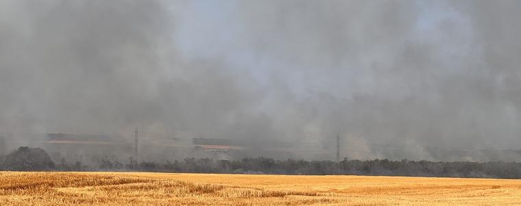 Голям пожар в нива край генералтошевско село