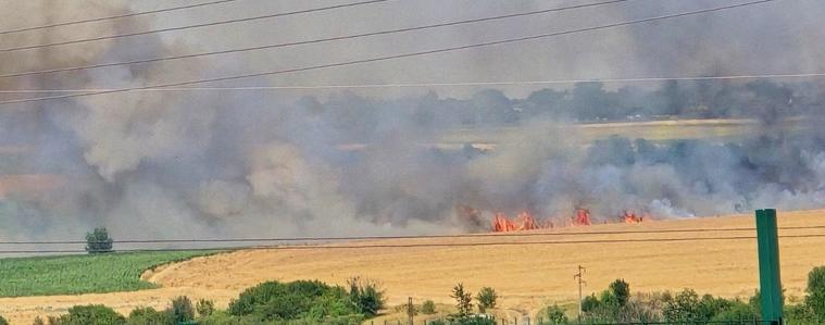 Пожар в нива близо до град Добрич, огънят тръгнал от сухи треви 