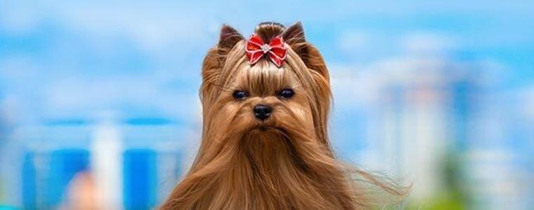 Прогноза за времето в петък