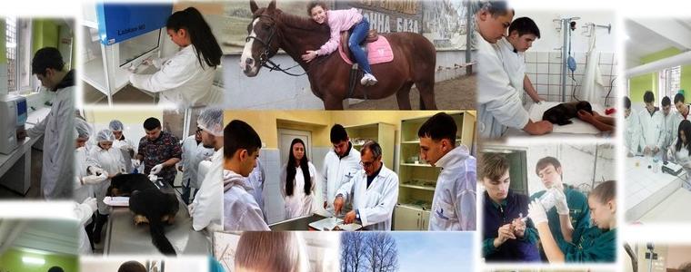 Стажове и практики във Ветеринарната гимназия - пътят към професионалното израстване