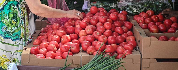 Тенденцията за спад на цените на основните хранителни продукти продължава и тази седмица
