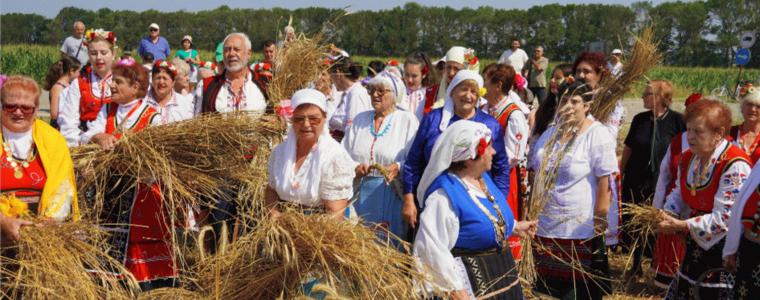 Тодор Моралийски: Няма да достигнем миналогодишните добиви от пшеница