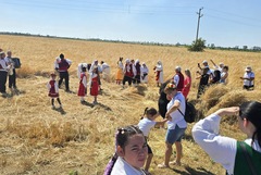 Добруджанският харман в Гурково събра таланти и съмишленици