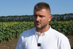 Илия Проданов от НАЗ: Жътвата на пшеницата е към края си, количествата са достатъчни (ВИДЕО)
