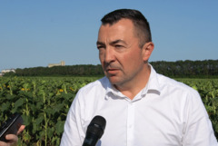 Зам.-министър в МЗХ: Почти 5,8 млн. тона е пшеницата, качеството е много добро (ВИДЕО)