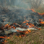 Пожарът в село Белгун е овладян