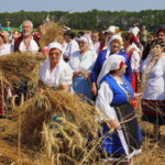 Тодор Моралийски: Няма да достигнем миналогодишните добиви от пшеница
