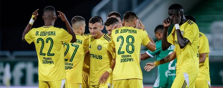 АНКЕТА: Как оценявате старта на Добруджа в Първа лига?