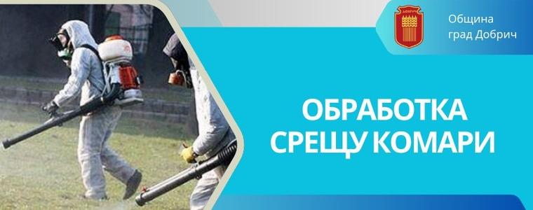 Община Добрич: Обработка срещу комари ще се извърши в парка