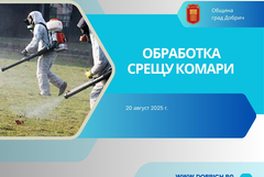 Община Добрич: Обработка срещу комари ще се извърши в парка на Добрич 