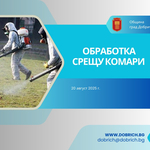 Община Добрич: Обработка срещу комари ще се извърши в парка на Добрич 