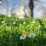 Прогноза за времето в петък