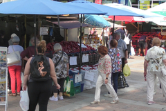 Цените на сезонните зеленчуци са поносими за любителите на домашно приготвената зимнина (ВИДЕО)