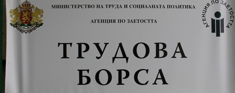Обща трудова борса ще се проведе в Добрич на 6 ноември