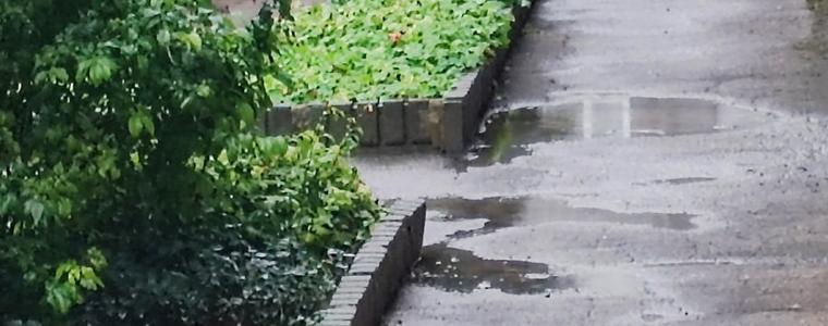 Обстановката в област Добрич е нормална