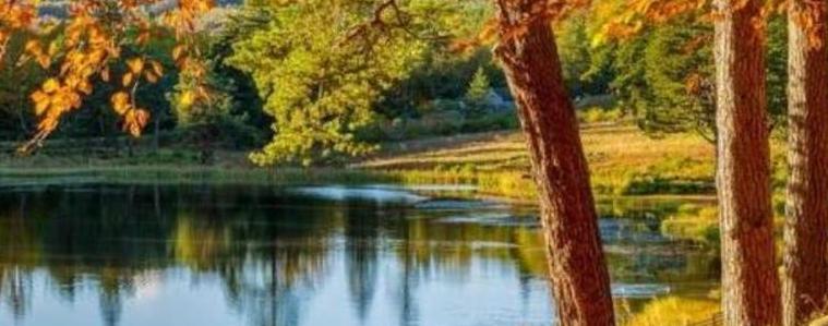 Прогноза за 3 ноември