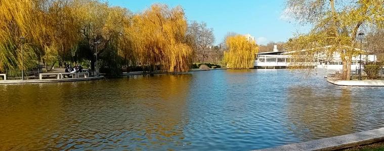 Прогноза за неделя -23 ноември