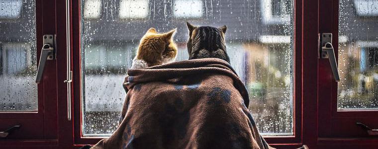 Прогноза за времето в петък